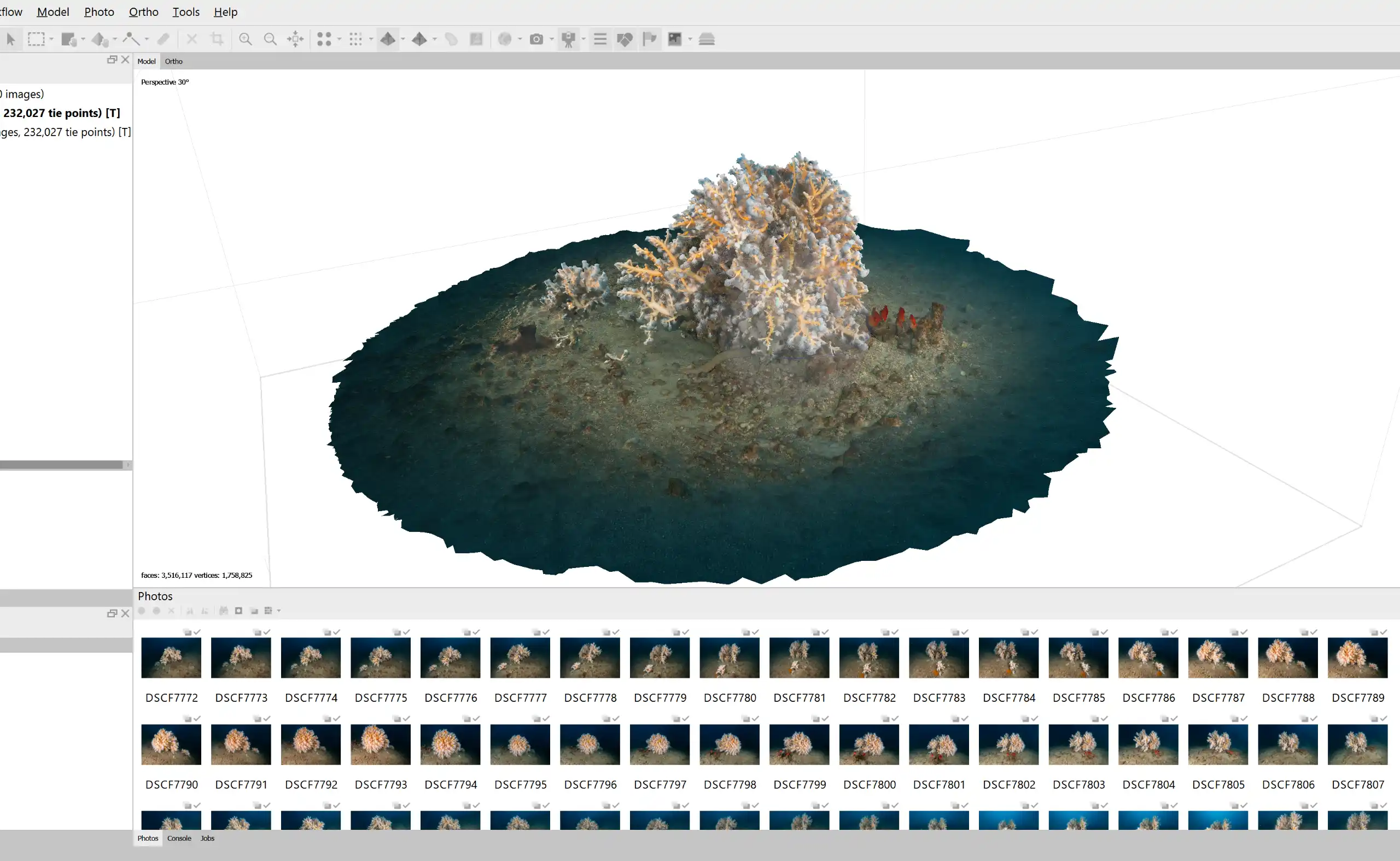 3D photogrammetry model of Dendrophyllia ramea coral in Agisoft Metashape